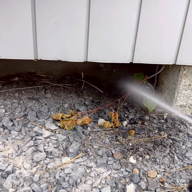 建物外周の土壌にシロアリ駆除剤を散布