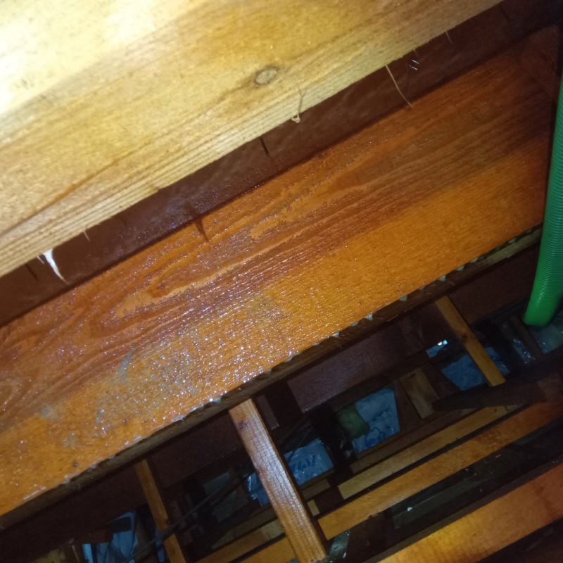 床下木材に防蟻剤を吹き付けた様子