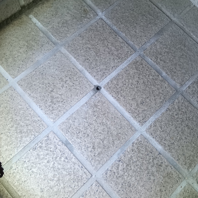 シロアリ駆除剤を注入するための穴を開けた様子