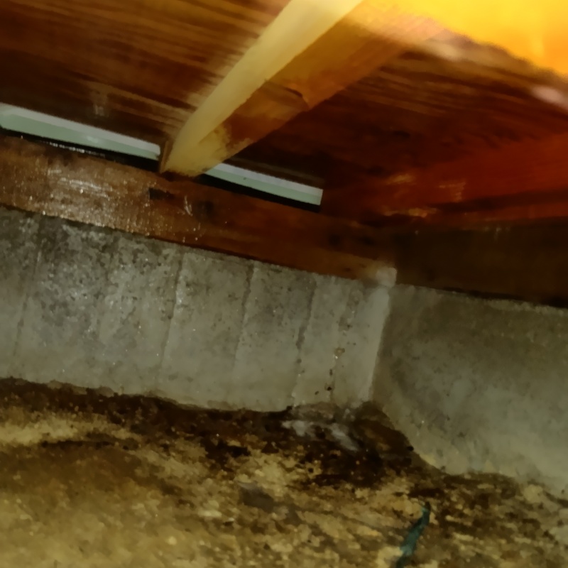 基礎・地面にシロアリ駆除剤を散布した様子