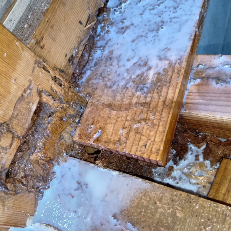 木材にシロアリ駆除剤を散布した様子