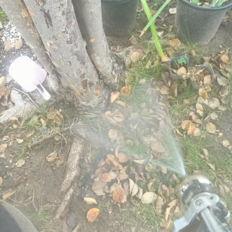 建物外周の土壌に防蟻剤を散布