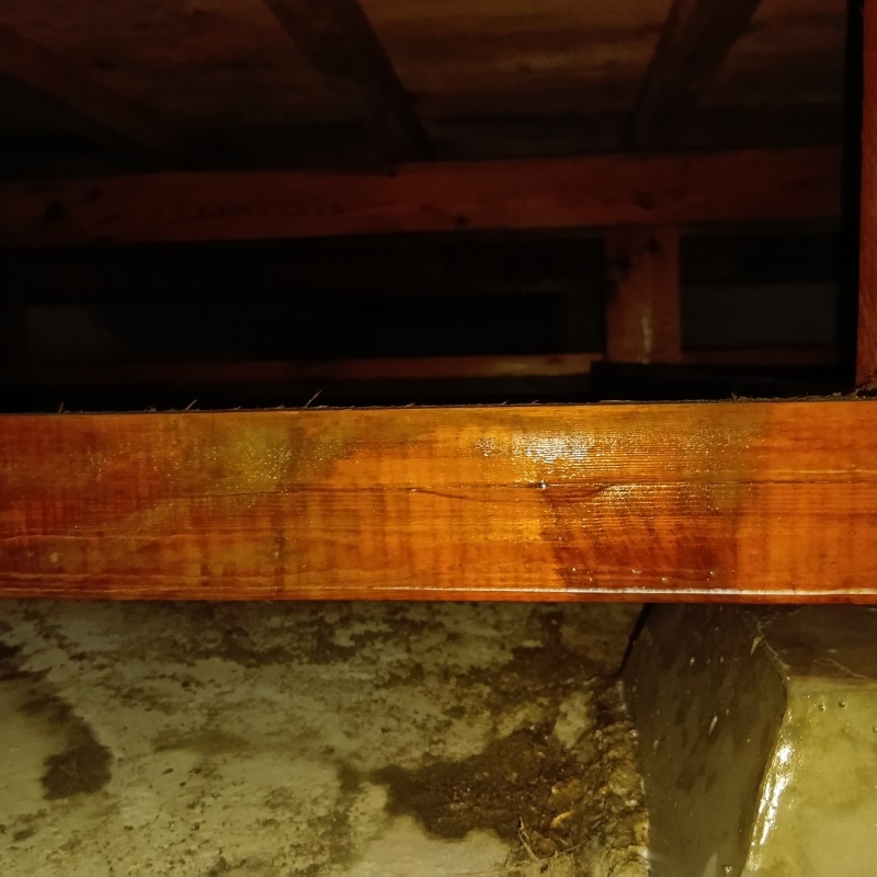 床下木材にシロアリ駆除剤を散布した様子