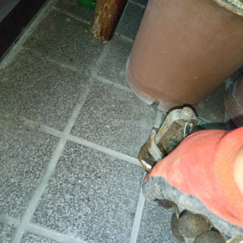 玄関床のタイルの目地から防蟻剤を注入