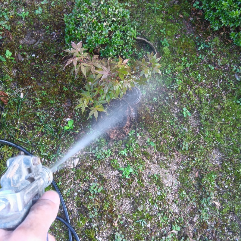 屋外の地面にシロアリ駆除剤を散布