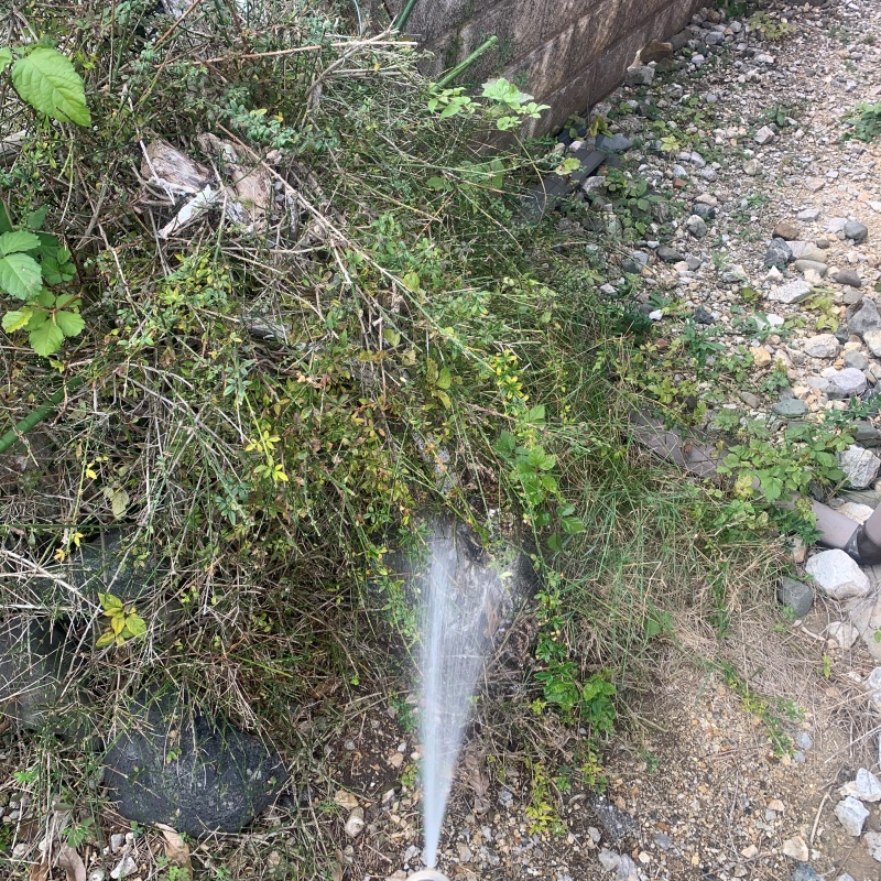 屋外の地面にシロアリ駆除剤を散布