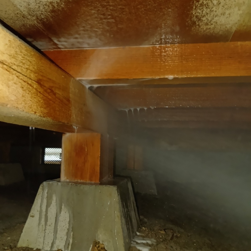 床下の木材にシロアリ駆除剤を散布