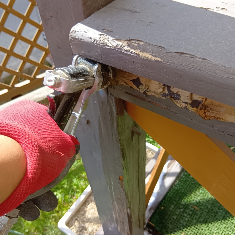 腐食した木材にシロアリ駆除剤を散布