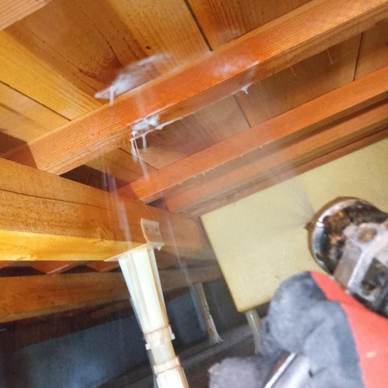 床下の木材にシロアリ駆除剤を散布