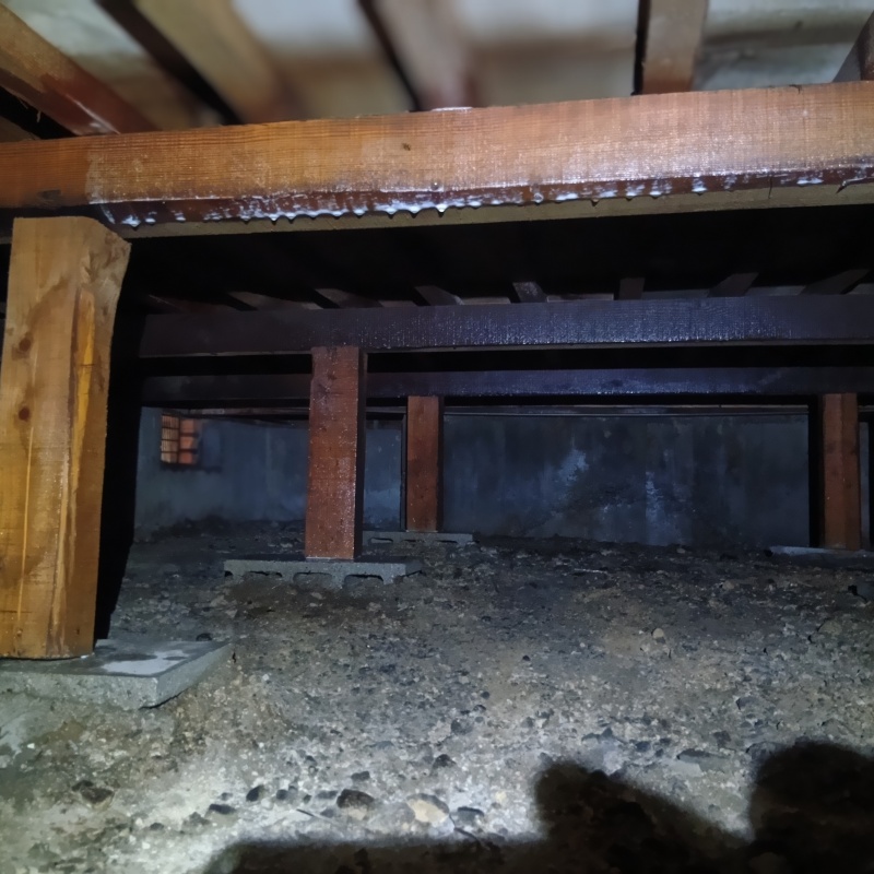 木部処理が完了した様子