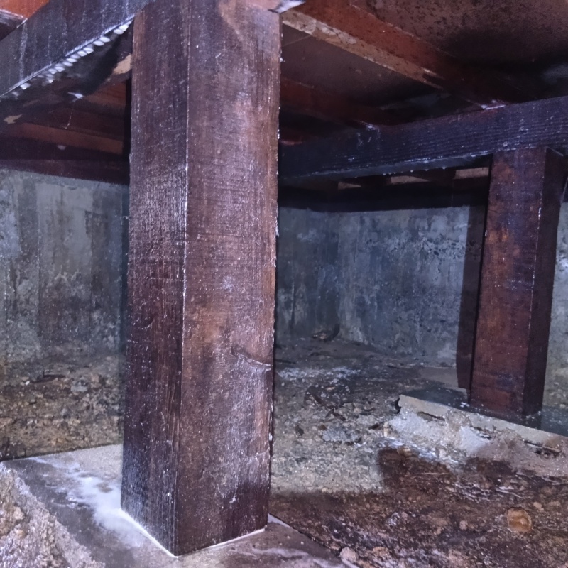 木部処理が完了した様子