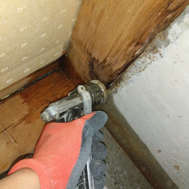 食害を受けた木材にシロアリ駆除剤を散布