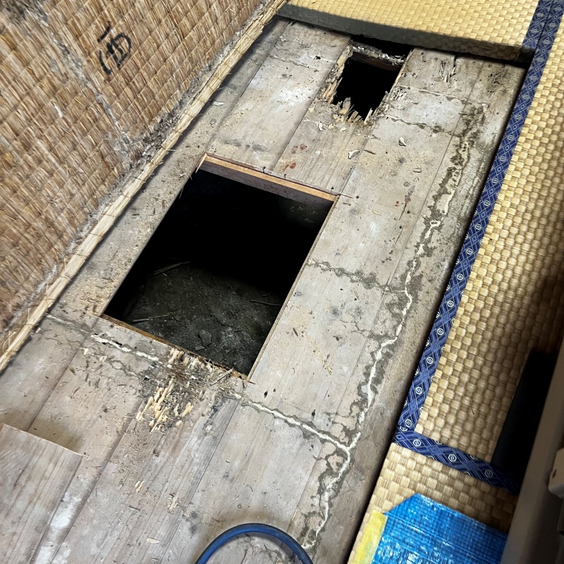 和室の床を切り抜いた様子