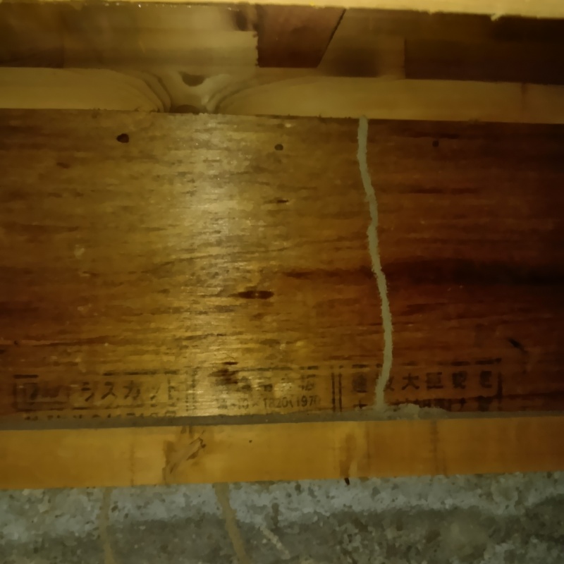 床下木材に作られた蟻道