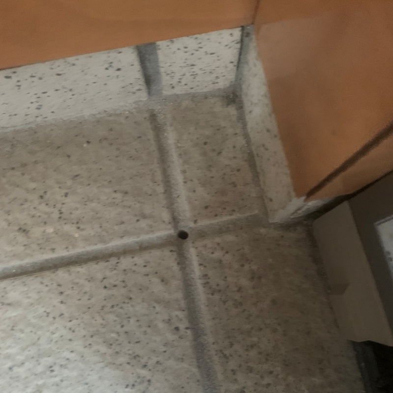 防蟻剤を注入するための穴を開けた様子