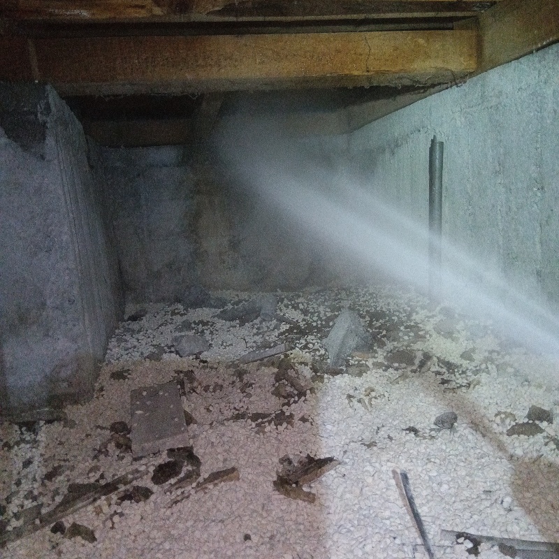 基礎にシロアリ駆除剤を吹きつける様子