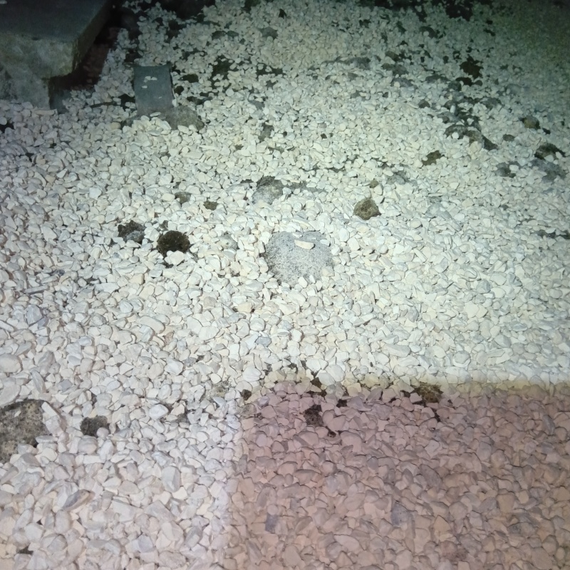 調湿剤を床下に敷いている様子