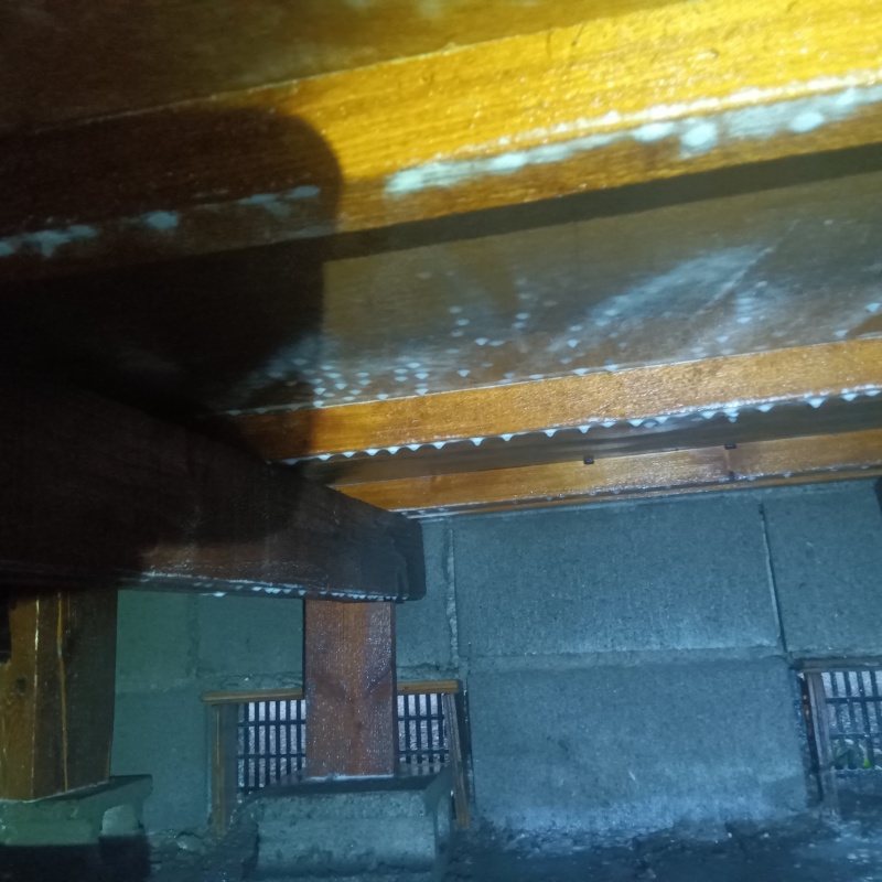 床下木材に防蟻剤を散布した様子