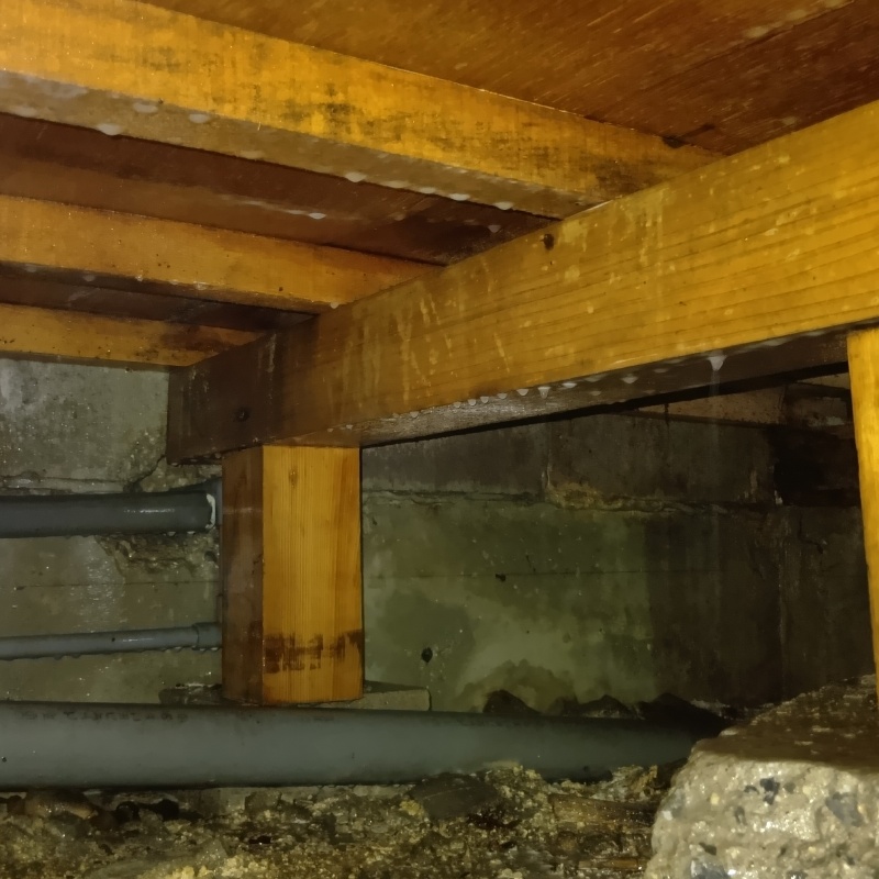 床下木材にシロアリ駆除剤を散布した様子