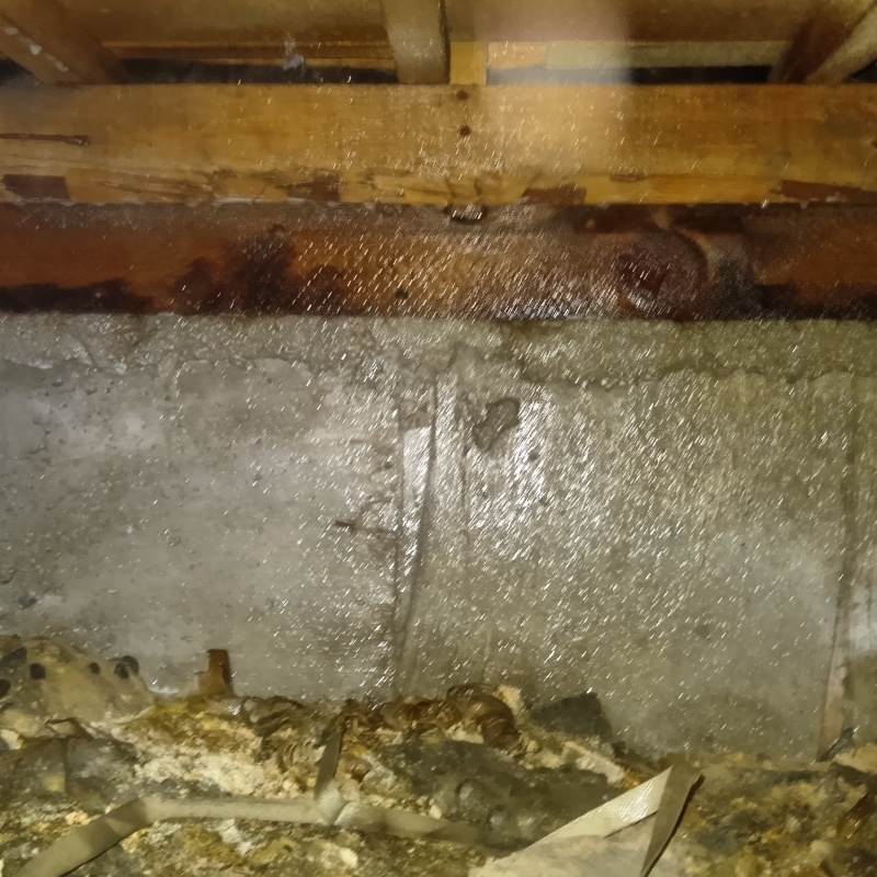 基礎にシロアリ駆除剤を散布した様子