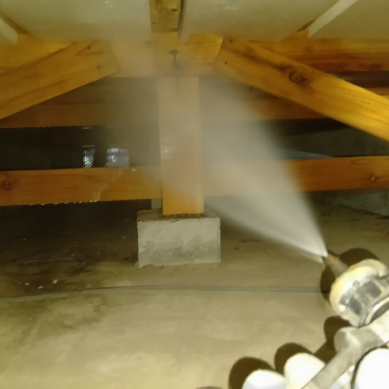 床下木材にシロアリ駆除剤を吹きつける様子