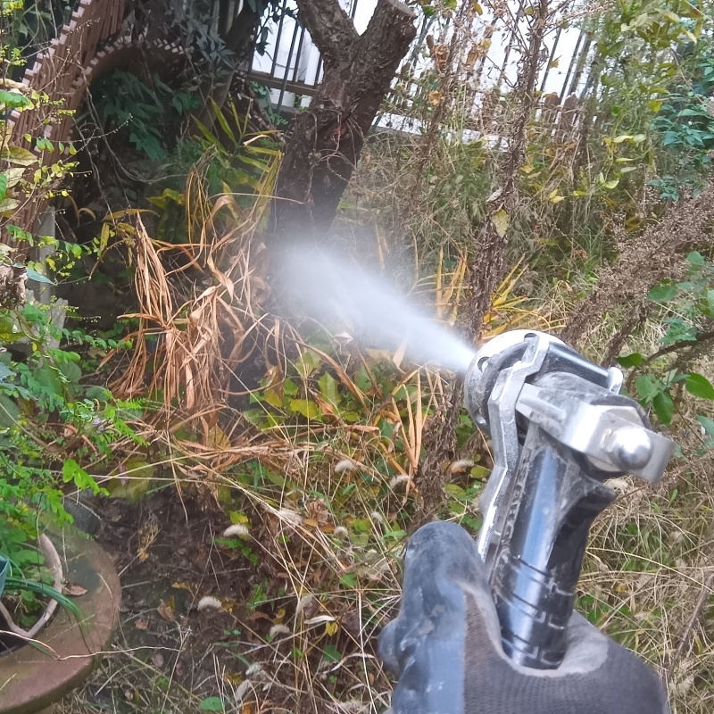 植木にシロアリ駆除剤を吹き付ける様子