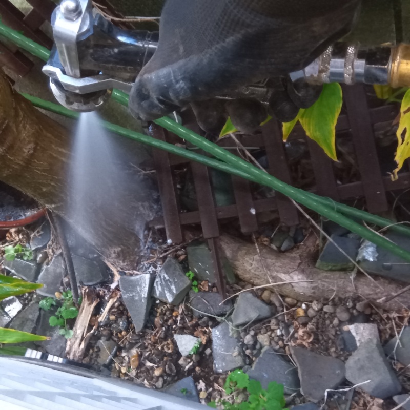 植木まわりにシロアリ駆除剤を散布