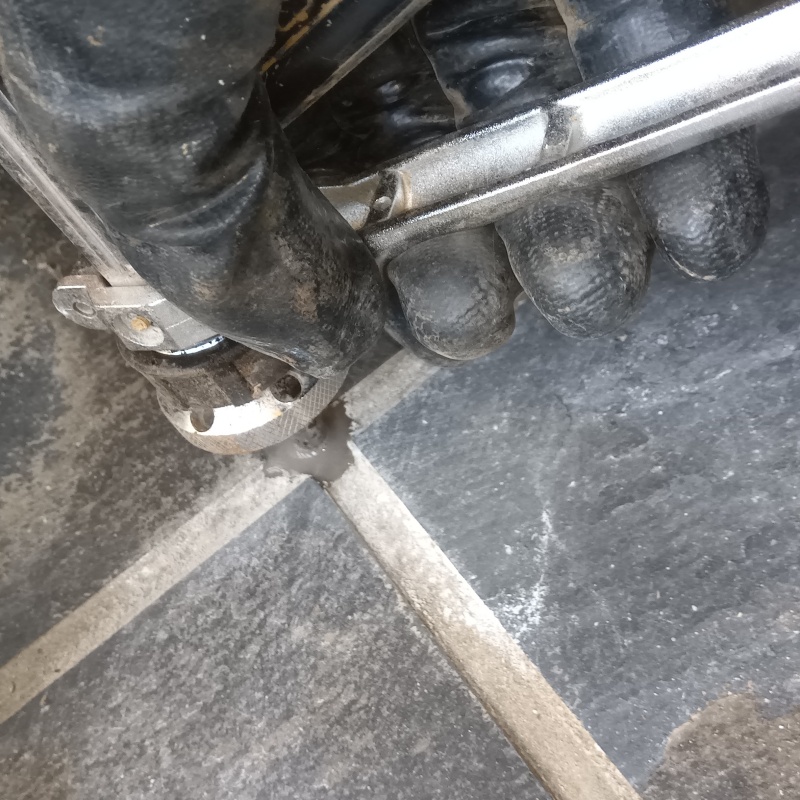 玄関床のタイルの目地からシロアリ駆除剤を注入