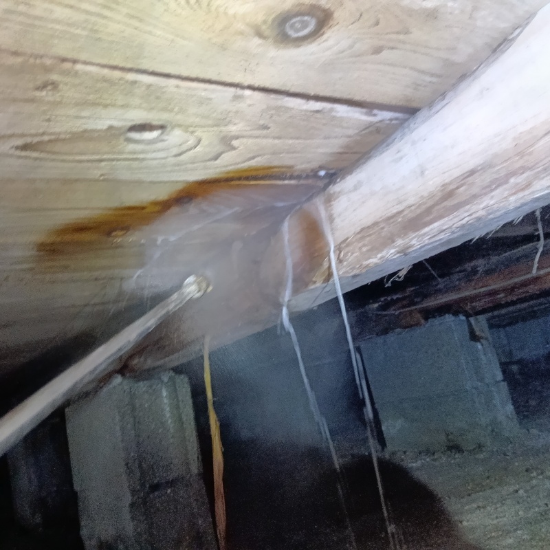 床下木材にシロアリ駆除剤を散布