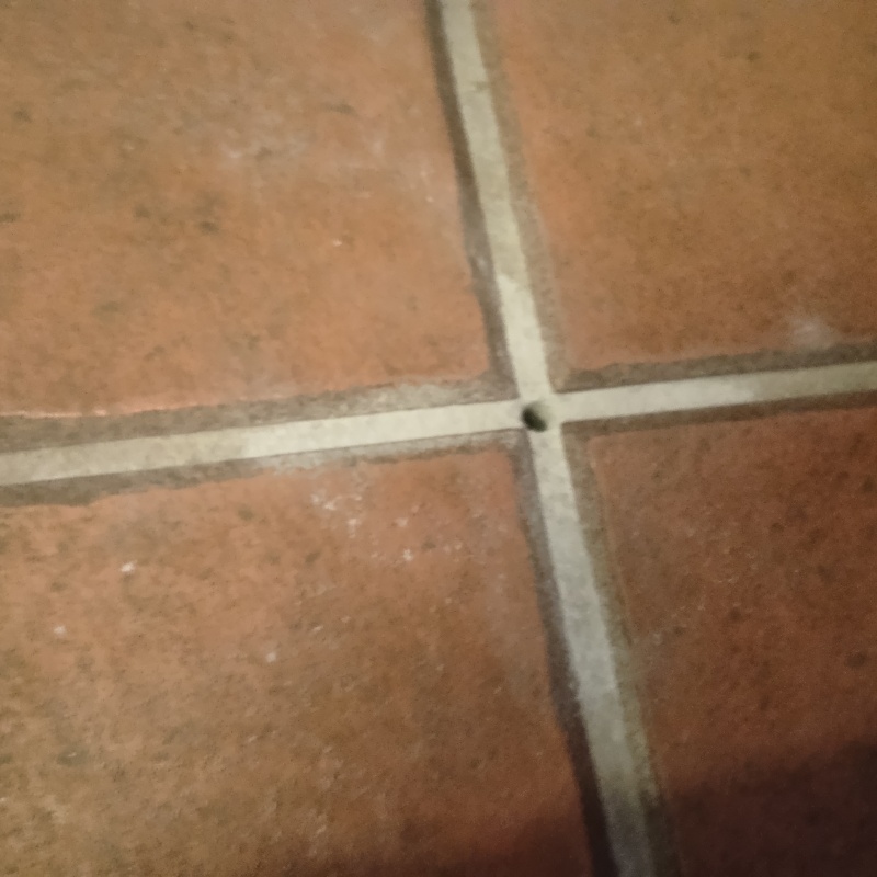 シロアリ駆除剤を注入するための穴を開けた様子