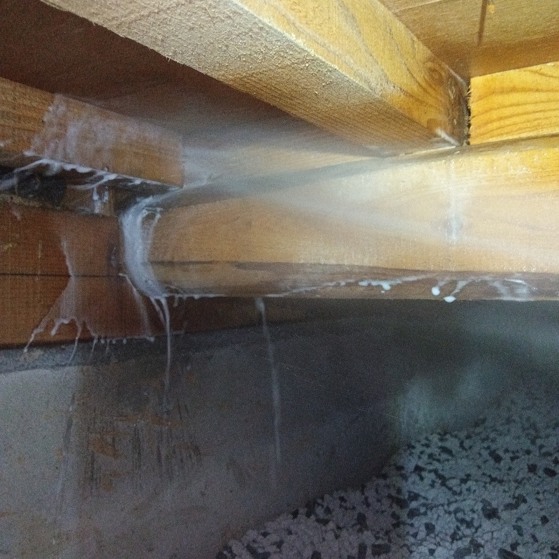 床下木材にシロアリ駆除剤を散布