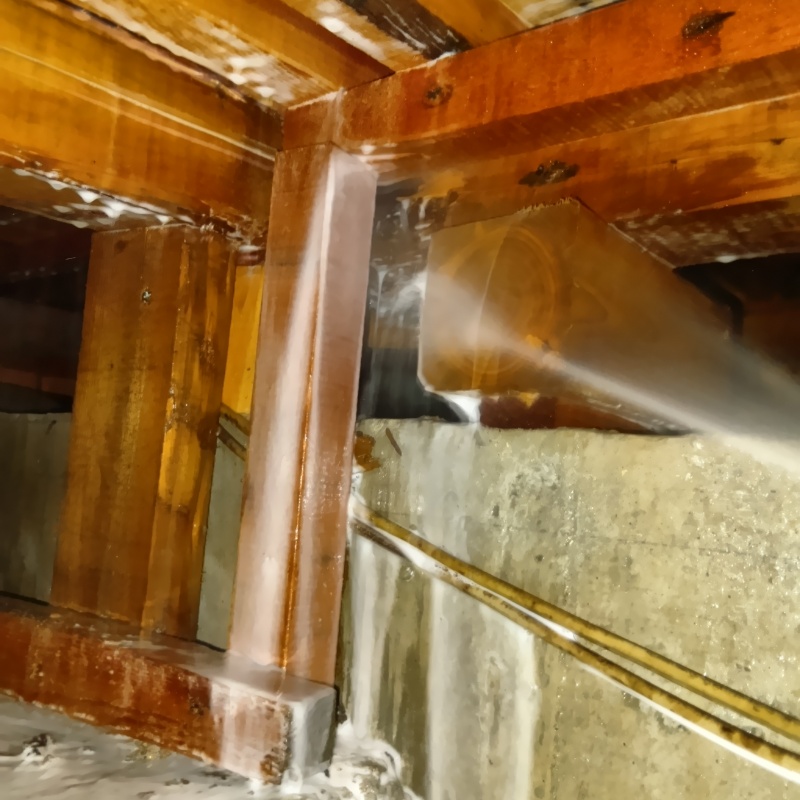 床下木材にシロアリ駆除剤を散布する様子