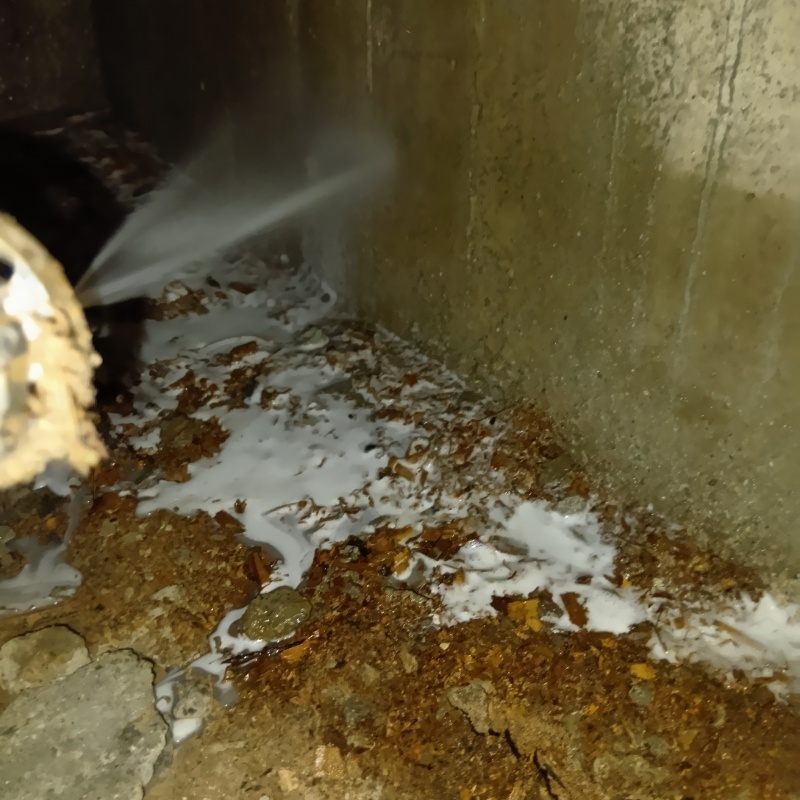 地面にシロアリ駆除剤を吹き付ける様子