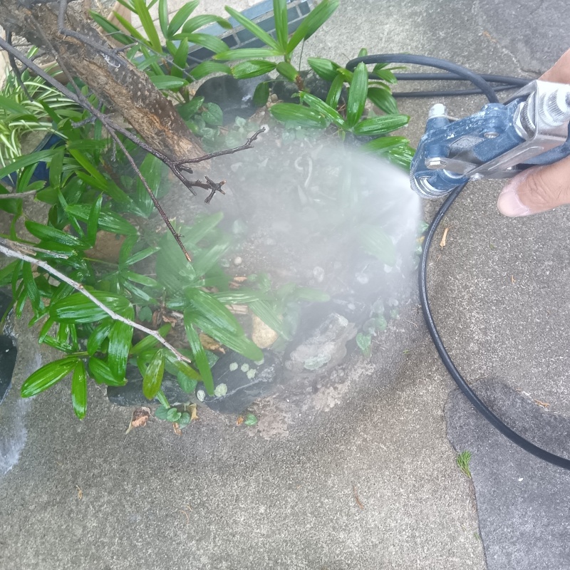 植木まわりにシロアリ駆除剤を吹き付ける様子