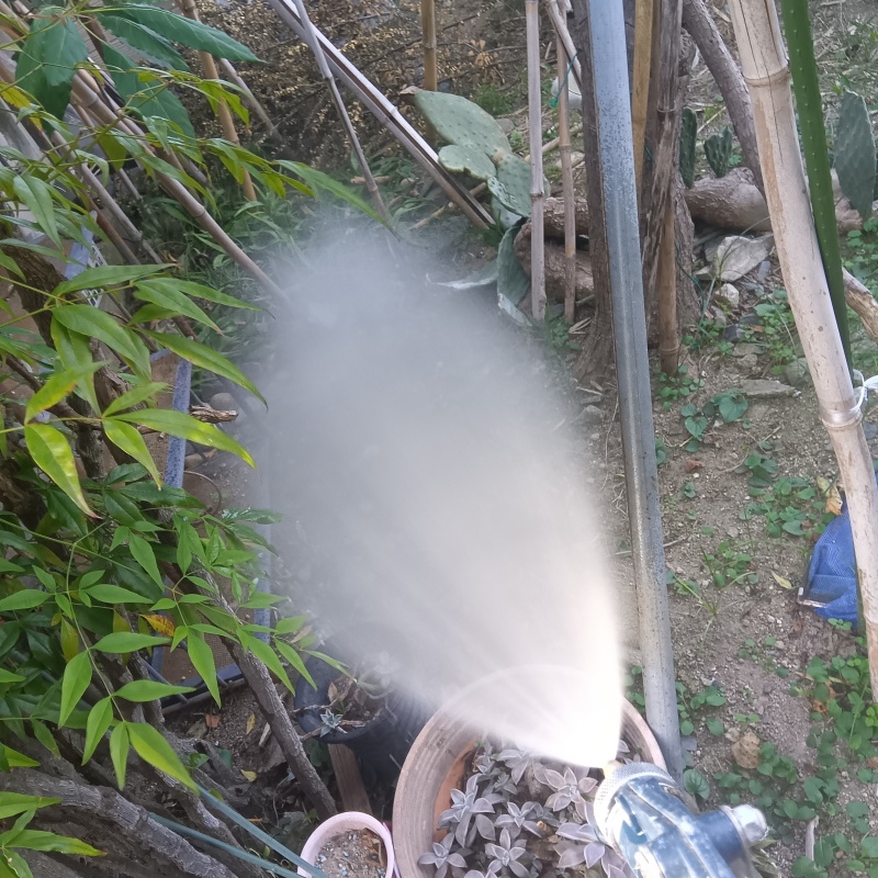 建物外周の土壌にシロアリ駆除剤を散布