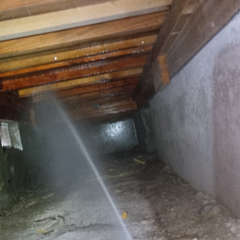 床下木材に防蟻剤を吹きつける様子