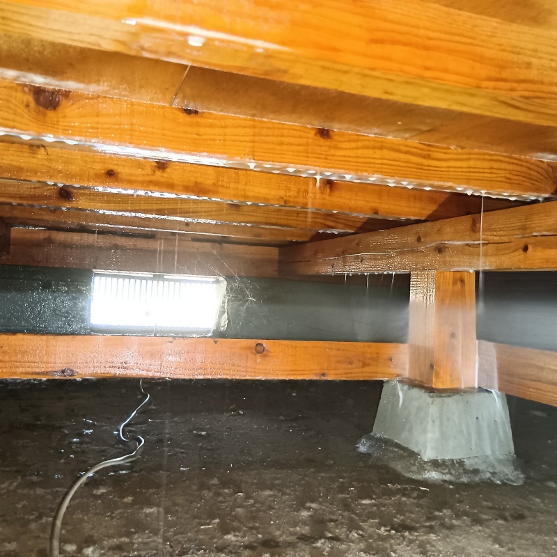 地面にシロアリ駆除剤を散布した様子