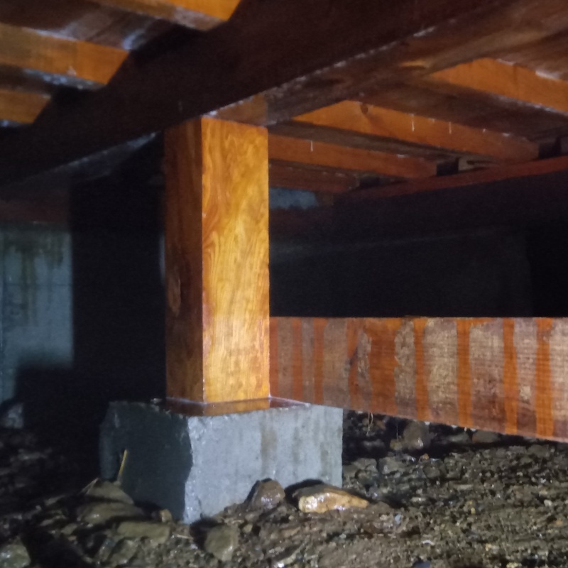 木部処理が完了した様子