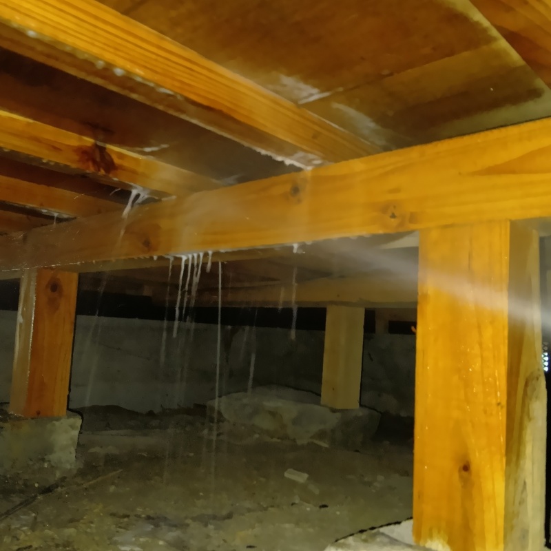 床下の木材にシロアリ駆除剤を散布