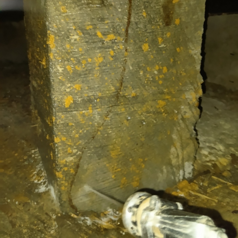 束石まわりにシロアリ駆除剤を散布