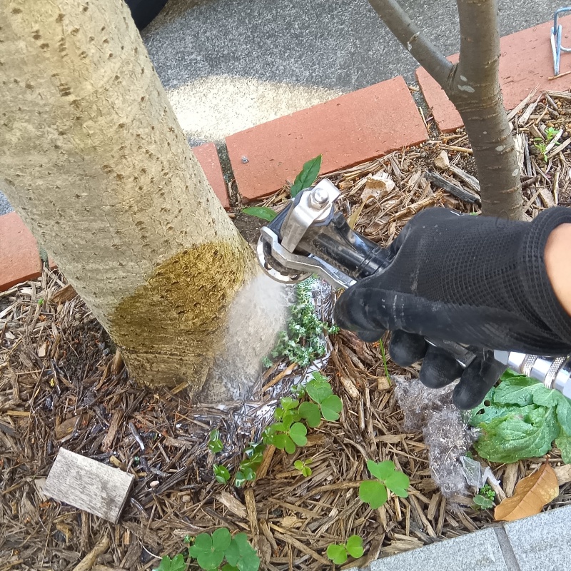庭木にシロアリ駆除剤を散布