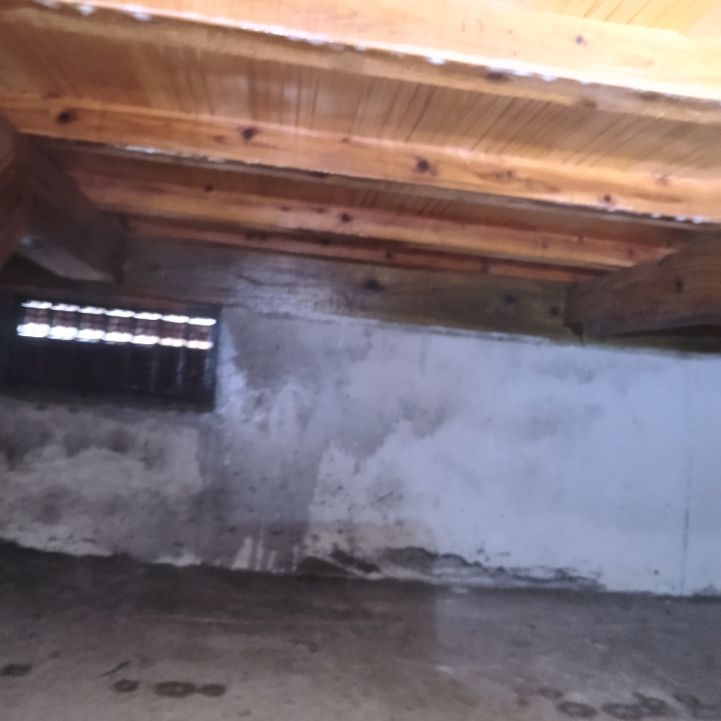 床下の土壌処理が完了した様子