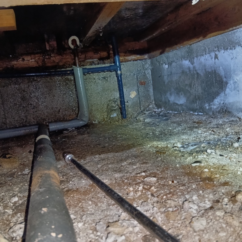 床下の地面にシロアリ駆除剤を散布