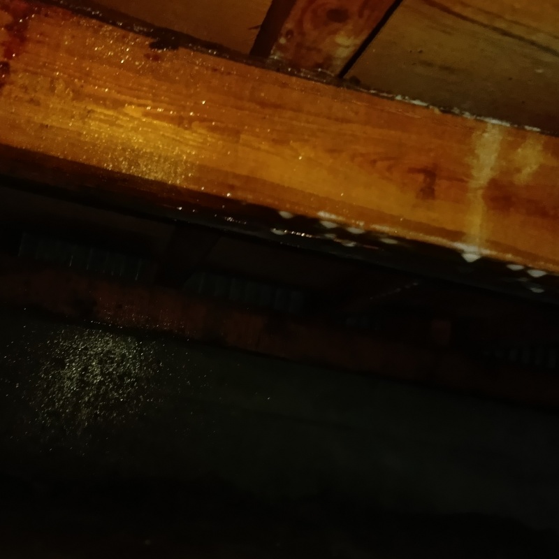 木部処理が完了した様子