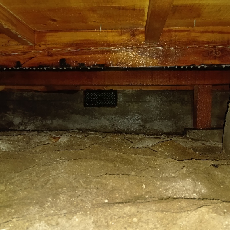 木部処理が完了した様子