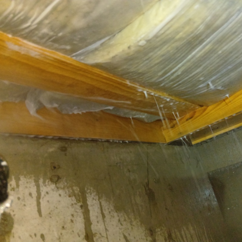 木部処理が完了した様子