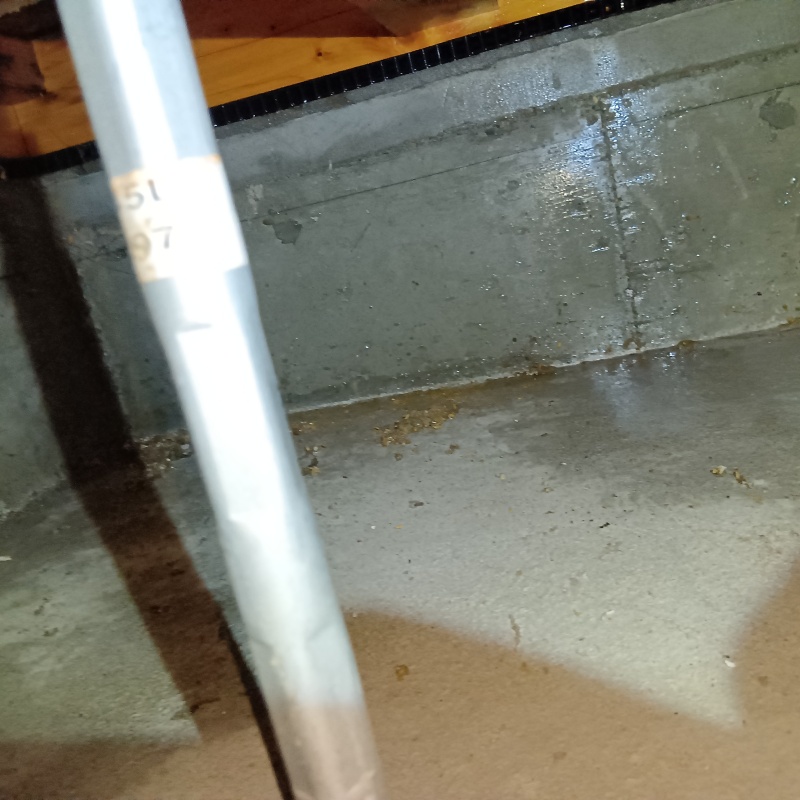 基礎に防蟻剤を散布した様子