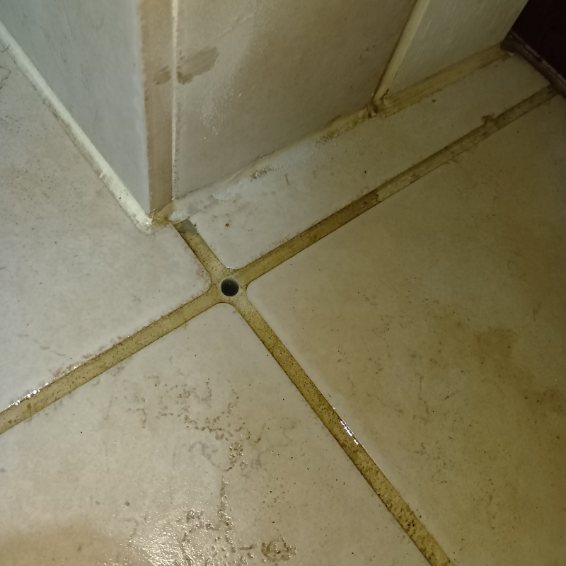 防蟻剤を注入するための穴を開けた様子