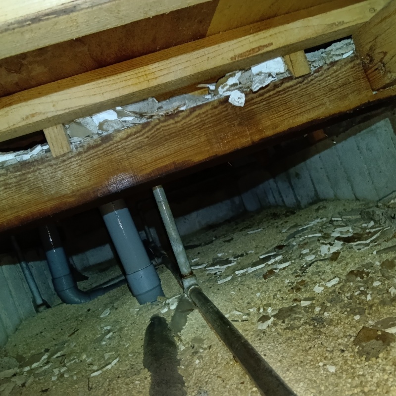 築年数53年のシロアリ駆除の施工事例（福井県坂井市春江町為国）