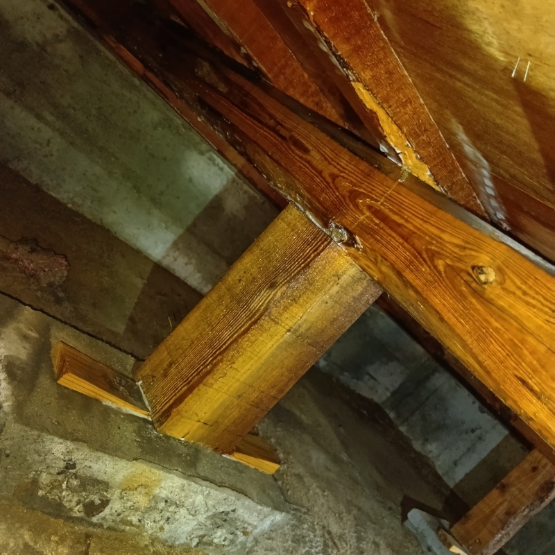 床下木材にシロアリ駆除剤を散布した様子